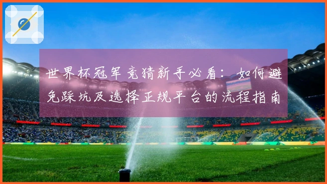 世界杯冠军竞猜新手必看：如何避免踩坑及选择正规平台的流程指南