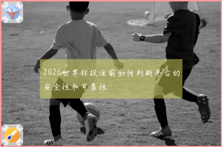 2026世界杯投注前如何判断平台的安全性和可靠性