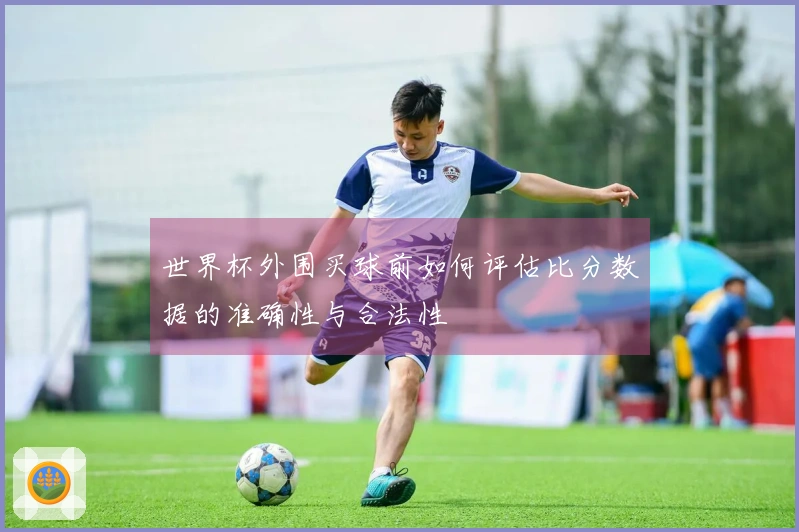 世界杯外围买球前如何评估比分数据的准确性与合法性