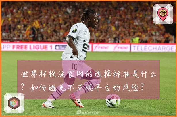 世界杯投注官网的选择标准是什么?如何避免不正规平台的风险?