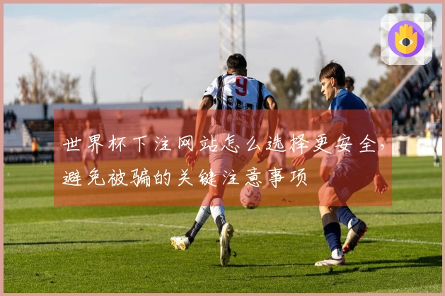 世界杯下注网站怎么选择更安全，避免被骗的关键注意事项