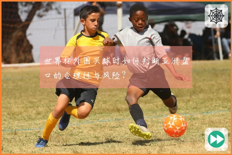 世界杯外围买球时如何判断亚洲盘口的合理性与风险？