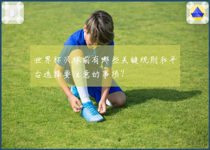 世界杯买球前有哪些关键规则和平台选择要注意的事项？