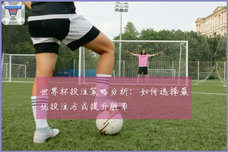 世界杯投注策略分析：如何选择最优投注方式提升胜率