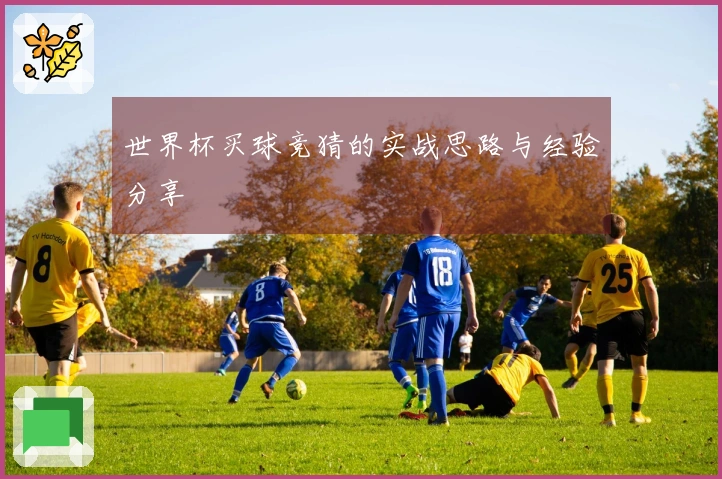 世界杯买球竞猜的实战思路与经验分享