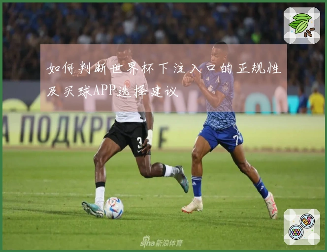 如何判断世界杯下注入口的正规性及买球APP选择建议
