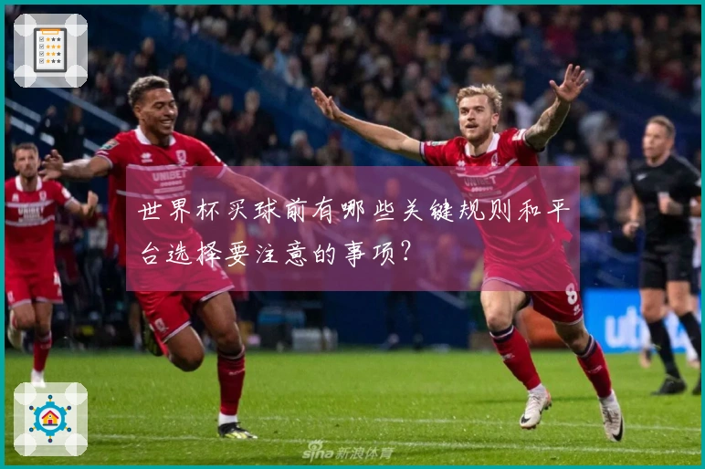 世界杯买球前有哪些关键规则和平台选择要注意的事项？