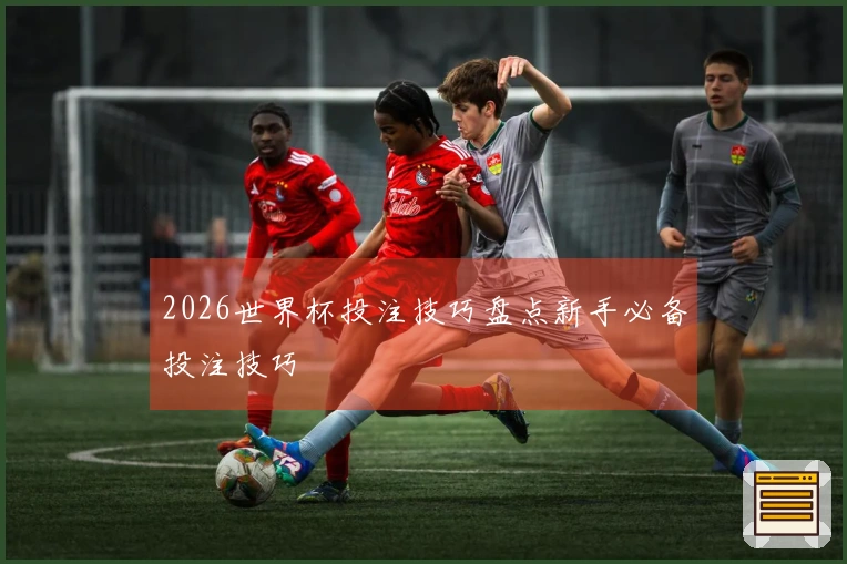 2026世界杯投注技巧盘点新手必备投注技巧