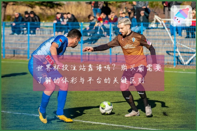 世界杯投注站靠谱吗？购买前需要了解的体彩与平台的关键区别