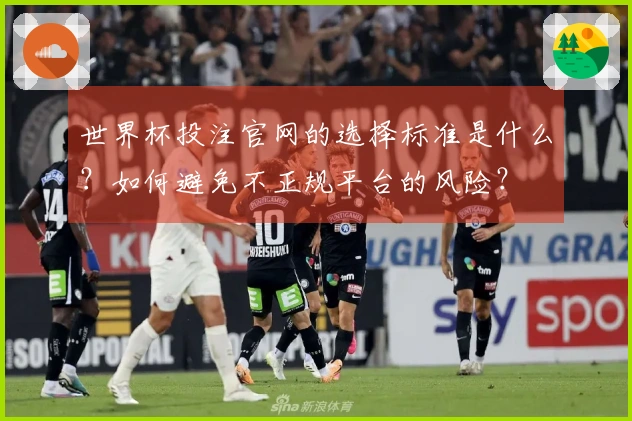世界杯投注官网的选择标准是什么？如何避免不正规平台的风险？